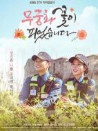 《木槿花开了》共120集_2017韩国电视剧全集剧情文案