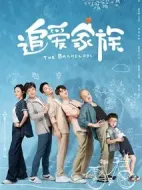 《追爱家族》共40集_其他电视剧全集剧情文案