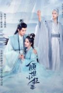 《倾世小狂医》共26集_其他电视剧全集剧情文案