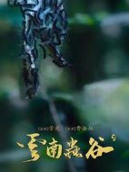 《云南虫谷》共16集_2018大陆电视剧全集剧情文案