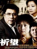 《祈望》共32集_内地电视剧全集剧情文案