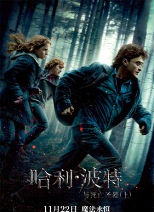 《哈利·波特与死亡圣器（上）》十七岁生日逃亡开始，魔法世界追杀最黑暗旅程