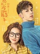《惹上冷殿下》共30集_2018大陆电视剧全集剧情文案