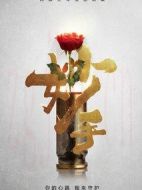 《妙手》共24集_其他电视剧全集剧情文案