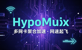 Github开源黑科技！多网卡网速聚合加速工具，一键让你的电脑网速起飞，这感觉也太爽了 HypoMux