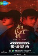 《梅花红桃》共32集_其他电视剧全集剧情文案