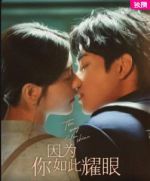 《因为你如此耀眼》共24集_其他电视剧全集剧情文案