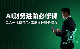 AI_财务人员进阶必修课二合一视频打包课，财务人员进阶必修课