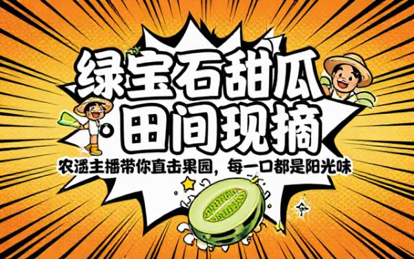三农博主田间真实带货绿宝石甜瓜