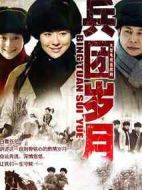 《兵团岁月》共38集_大陆电视剧全集剧情文案