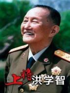 《上将洪学智》共29集_内地电视剧全集剧情文案