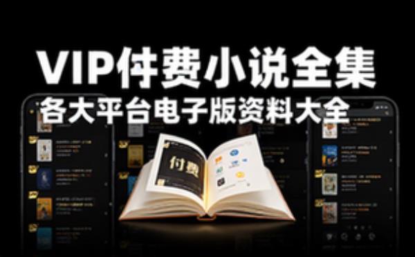 各大平台vip付费小说书籍 电子书籍读物电子版资料大全