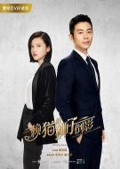 《赖猫的狮子倒影》共33集_大陆电视剧全集剧情文案