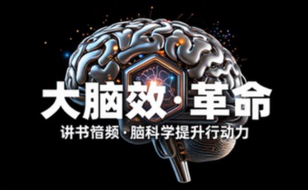 大脑效率提升讲书音频 讲解大脑效率革命相关内容