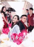 《美梦成真》共30集_2015内地电视剧全集剧情文案