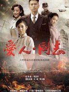 《爱人同志》共50集_2017大陆电视剧全集剧情文案