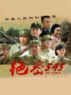 《绝密543》共34集_2017大陆电视剧全集剧情文案