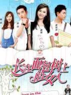 《长在面包树上的女人》共38集_2015大陆电视剧全集剧情文案