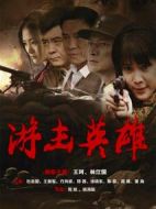 《游击英雄》共36集_2015大陆电视剧全集剧情文案