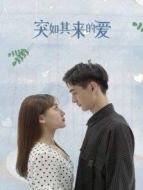 《红肥绿瘦》共14集_内地电视剧全集剧情文案