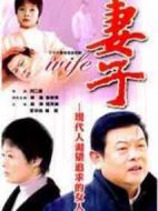 《妻子》共26集_大陆电视剧全集剧情文案