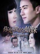 《你是我的姐妹》共41集_2015大陆电视剧全集剧情文案