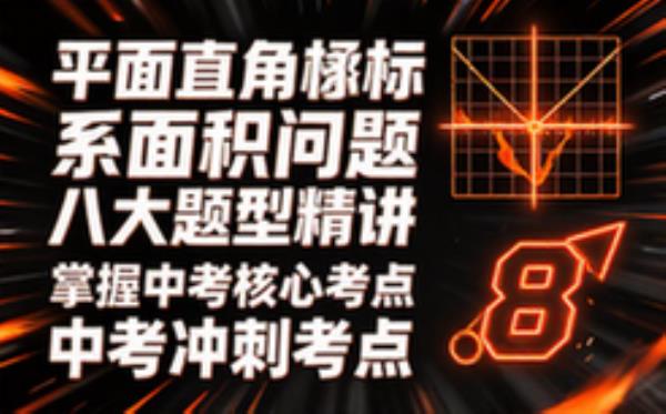 平面直角坐标系面积问题八大题型精讲，掌握中考核心考点