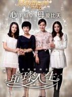 《璀璨人生》共80集_2003大陆电视剧全集剧情文案