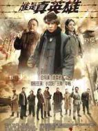 《谁是真英雄》共36集_2013大陆电视剧全集剧情文案