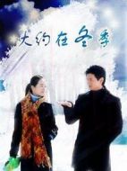 《大约在冬季》共22集_大陆电视剧全集剧情文案