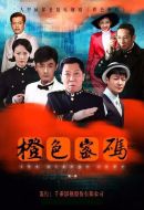 《橙色密码》共53集_2015大陆电视剧全集剧情文案