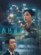 《夜色正浓》共24集_2026年中国内地电视剧全集剧情文案