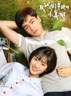 《致我们单纯的小美好》共24集_2017大陆电视剧全集剧情文案