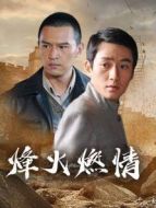 《烽火燃情》共30集_内地电视剧全集剧情文案