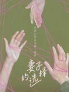 《妻子的选择》共12集_其他电视剧全集剧情文案
