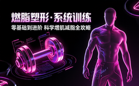 健身系统训练教程 自学全身增肌减脂塑形训练方法
