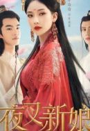 《夜叉新娘》共26集_其他电视剧全集剧情文案