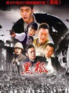 《黑狐》共38集_2011大陆电视剧全集剧情文案