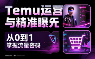 电商平台 Temu 运营与精准曝光推广课程