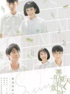 《那年夏天有风吹过》共27集_2019大陆电视剧全集剧情文案