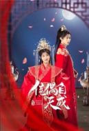 《佳偶自天成》共26集_其他电视剧全集剧情文案