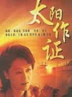 《太阳作证》共28集_大陆电视剧全集剧情文案