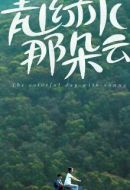 《青山绿水那朵云》共10集_其他电视剧全集剧情文案
