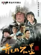 《青山不墨》共34集_2022其他电视剧全集剧情文案