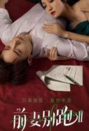 《前妻别跑2》共24集_其他电视剧全集剧情文案