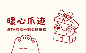 猫爪相关链接