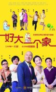《好大一个家》共38集_2015大陆电视剧全集剧情文案