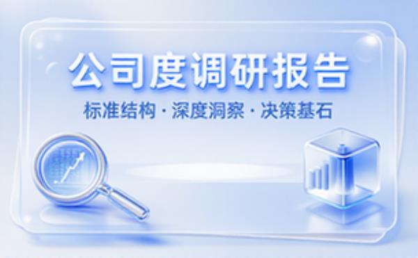 公司深度调研报告结构模板