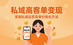 私域高客单实体变现课程，掌握私域运营高客单价转化方法