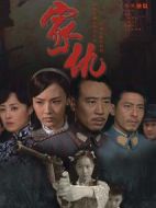 《家仇》共38集_2010大陆电视剧全集剧情文案